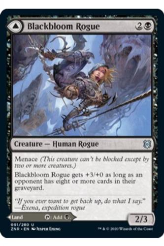 Blackbloom Rogue // Blackbloom Bog