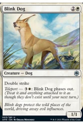 Blink Dog