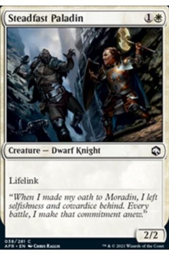 Steadfast Paladin