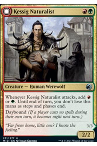 Kessig Naturalist