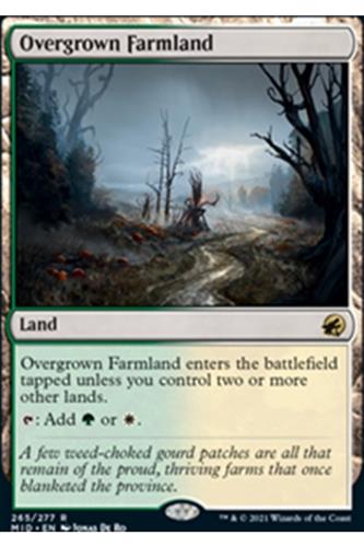 Overgrown Farmland