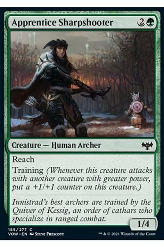 Apprentice Sharpshooter