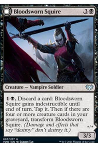 Bloodsworn Squire