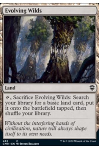 Evolving Wilds