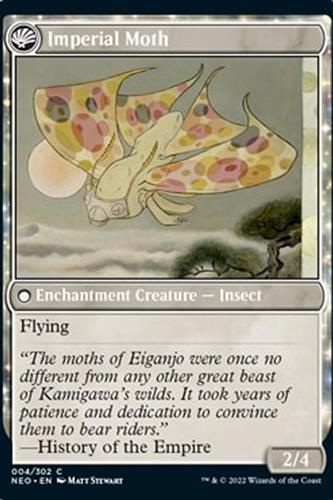 Befriending the Moths // Imperial Moth