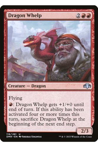 Dragon Whelp
