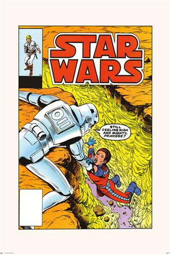 Star Wars 86 - The Aldaraan Factor 30X40 Print (Poster)