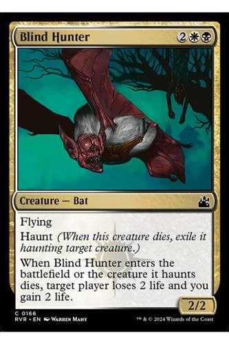 Blind Hunter