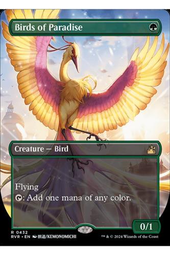 Birds of Paradise