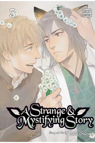 A Strange & Mystifying Story vol. 5