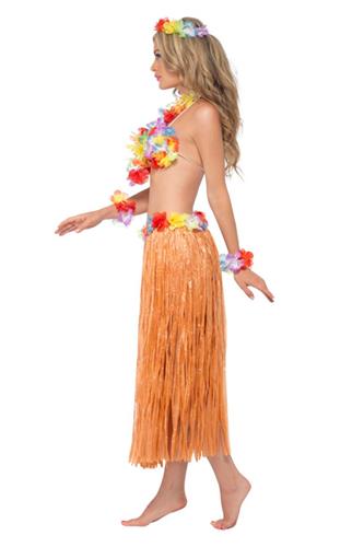 Hawaii Hula