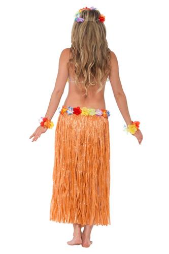 Hawaii Hula