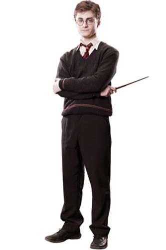 Harry Potter - Hufflepuff, Sweater