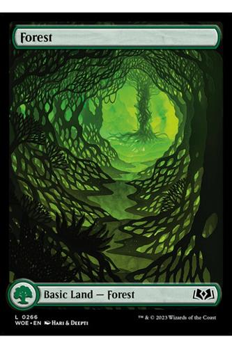 Forest