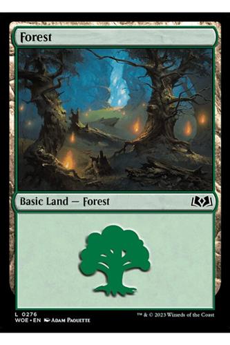Forest