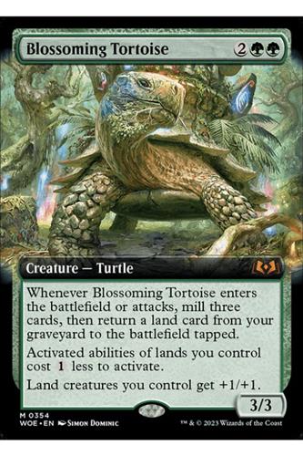 Blossoming Tortoise