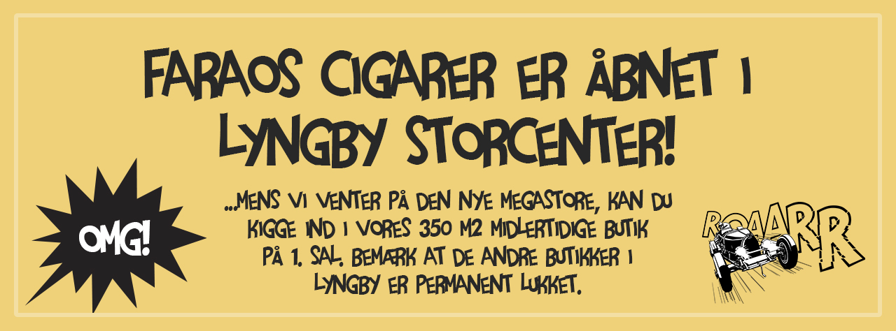 Lyngby Storcenter info