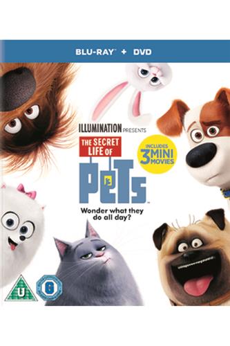 The Secret Life Of Pets Blu-Ray + DVD - Animation - BLU-RAY - Universal ...